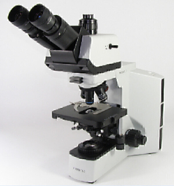 Affordable, High Quality Light Microscopes for Every Application Now